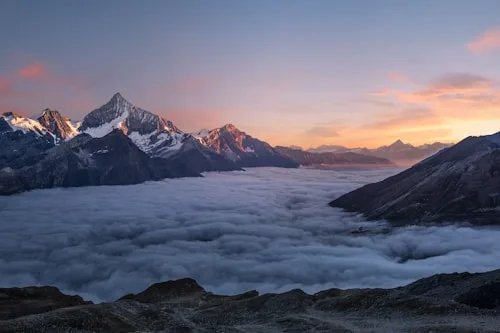 Portfolio - 优直播
