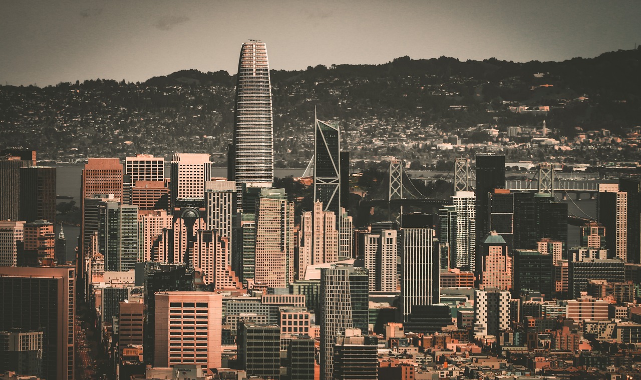 公牛队的中 公牛队的中