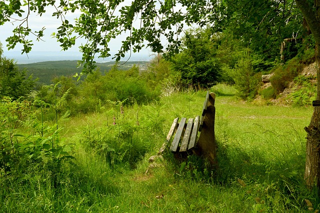 带来哪些深 带来哪些深