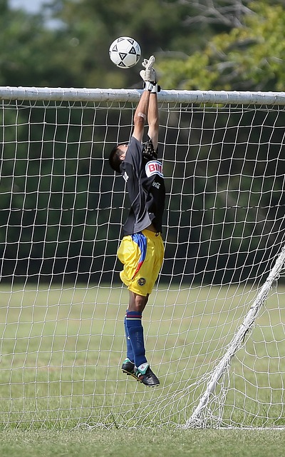 不仅鼓励小 不仅鼓励小