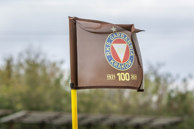 远的影响 远的影响