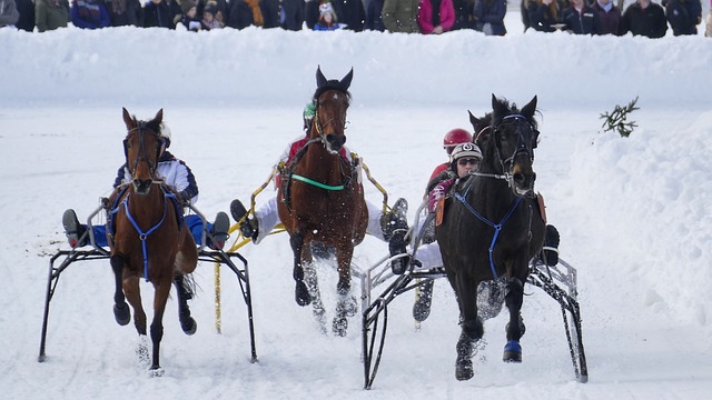 仅帮助青少 仅帮助青少