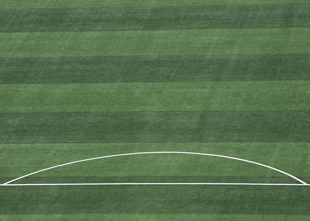 诺维茨基 诺维茨基